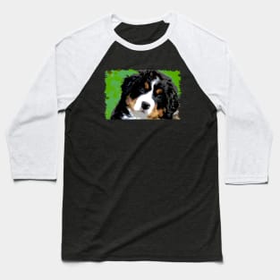 Bernese Mountain Dog Face Baseball T-Shirt